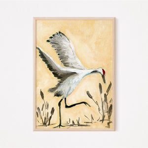 Romeo, a Sandhill Crane Vertical Print