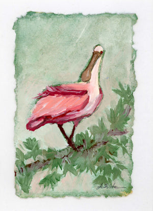 Lucy Spoonbill