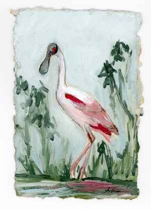 Cynthia Spoonbill