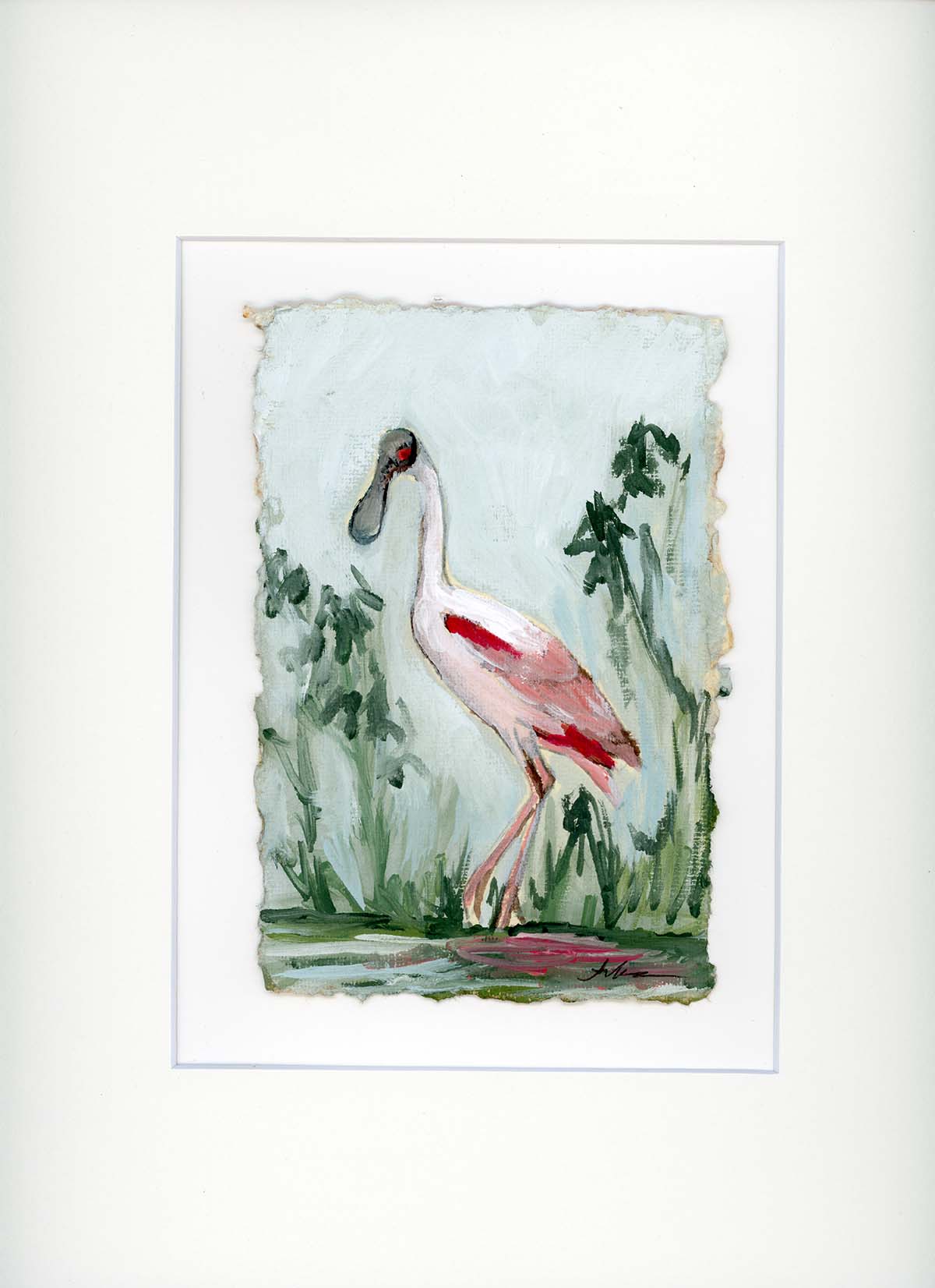 Cynthia Spoonbill