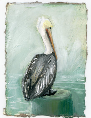 Blake Pelican