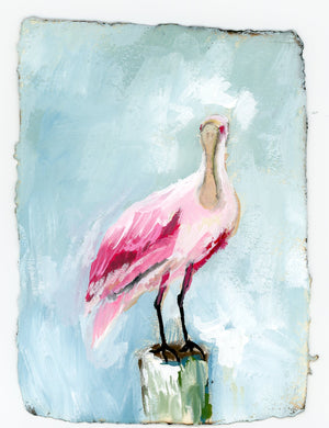 Jane Spoonbill