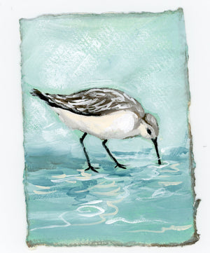 Jenny Sandpiper