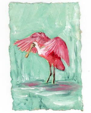 Clara Spoonbill