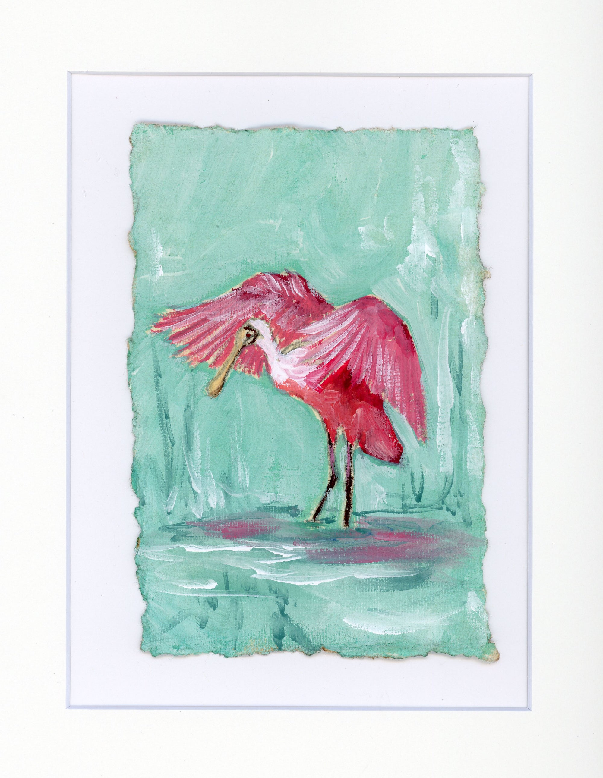 Clara Spoonbill