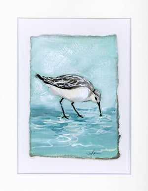 Jenny Sandpiper